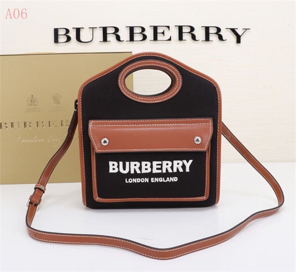 Burberry Bags AAA 060